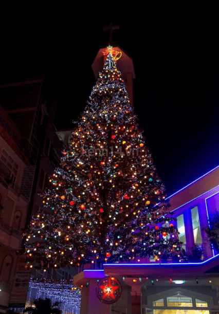 Cây thông Noel khổng lồ được đặt trên nóc nhà thờ An Nhơn