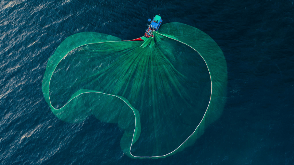 Cảnh quăng lưới đẹp ngoạn mục với góc nhìn từ trên cao của ngư dân Phú Yên