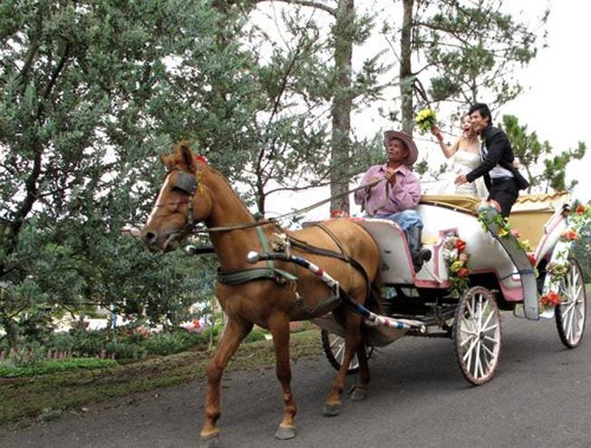 Các cặp đôi cũng rất hứng thú với loại hìn dịch vụ đi xe ngựa chụp ảnh